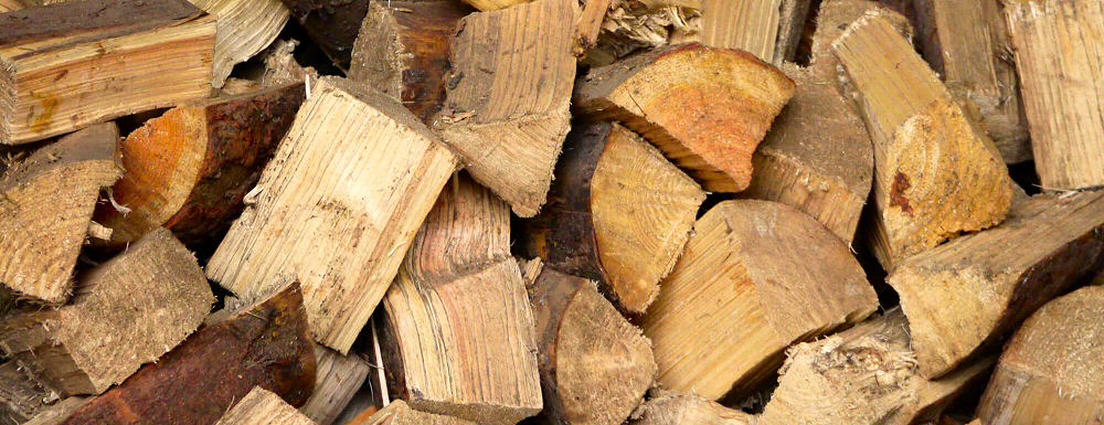 Deadfall & logs after garden clearance