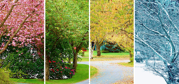 A season by season guide to gardening tasks