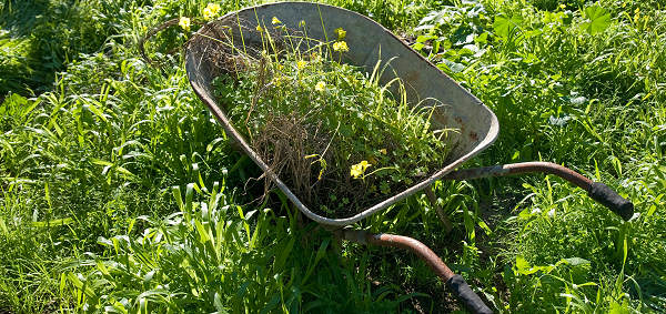 Garden waste clearance