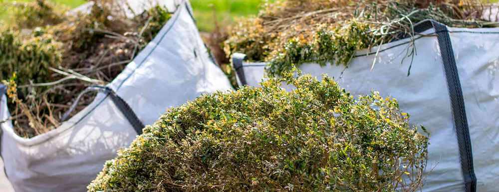 Green garden waste, bagged ready for removal